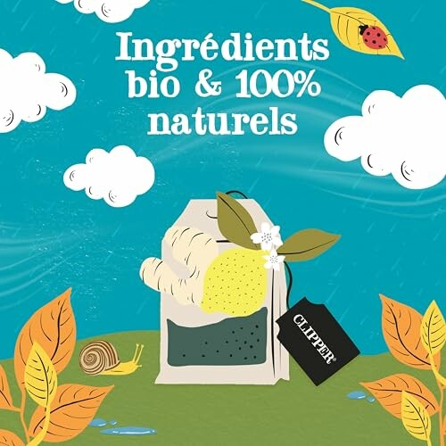 Illustration de thé Clipper avec ingrédients naturels