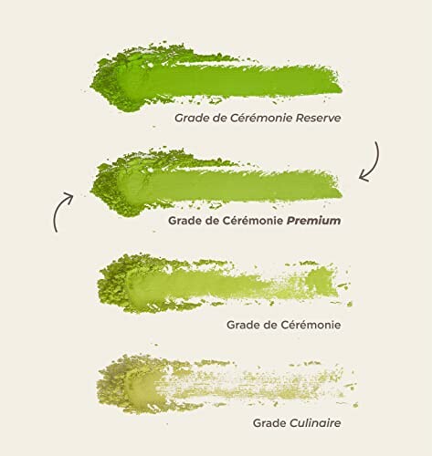 Comparaison des grades de poudre de matcha.
