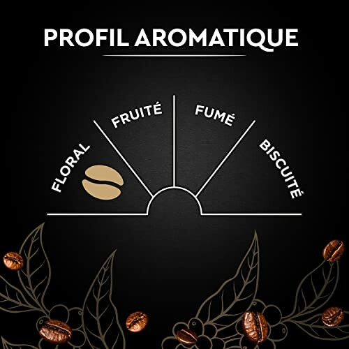 Graphique du profil aromatique du café.